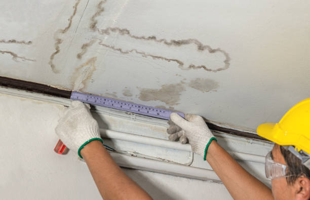 Reliable Mold Remediation contractor in Oakpark, VA by Water Damage Irwin